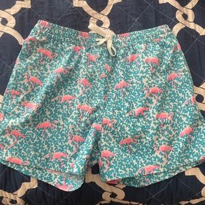 Chubbies Teal and Pink Swim Shorts